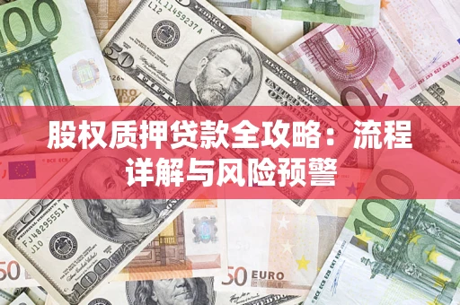 武汉股权质押贷款全攻略：流程详解与风险预警