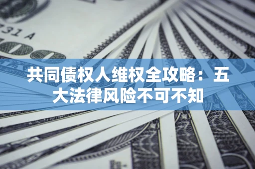 武汉共同债权人维权全攻略：五大法律风险不可不知