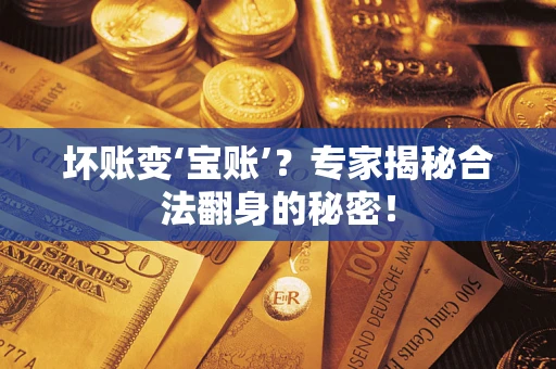 武汉坏账变‘宝账’？专家揭秘合法翻身的秘密！