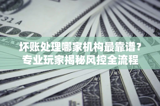 武汉坏账处理哪家机构最靠谱？专业玩家揭秘风控全流程