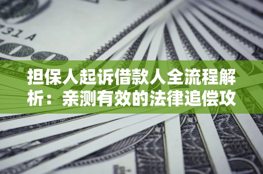 武汉担保人起诉借款人全流程解析：亲测有效的法律追偿攻略