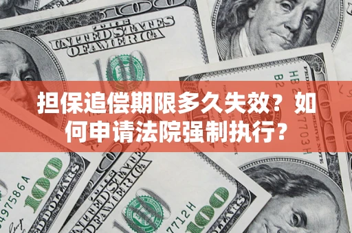 武汉担保追偿期限多久失效？如何申请法院强制执行？