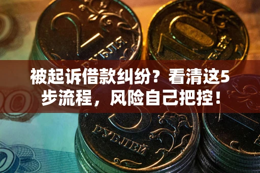 武汉被起诉借款纠纷？看清这5步流程，风险自己把控！