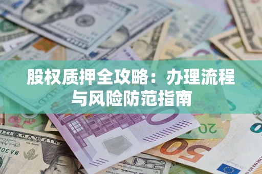 武汉股权质押全攻略：办理流程与风险防范指南