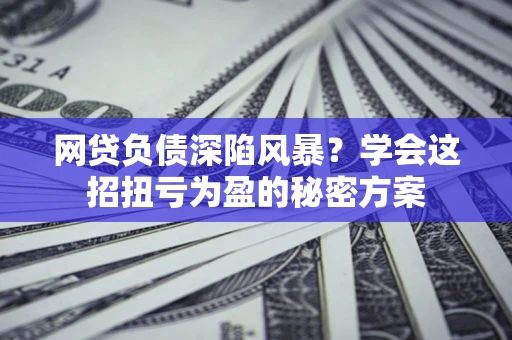 武汉网贷负债深陷风暴？学会这招扭亏为盈的秘密方案