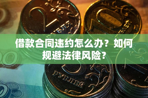 武汉借款合同违约怎么办？如何规避法律风险？